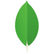 MongoDB